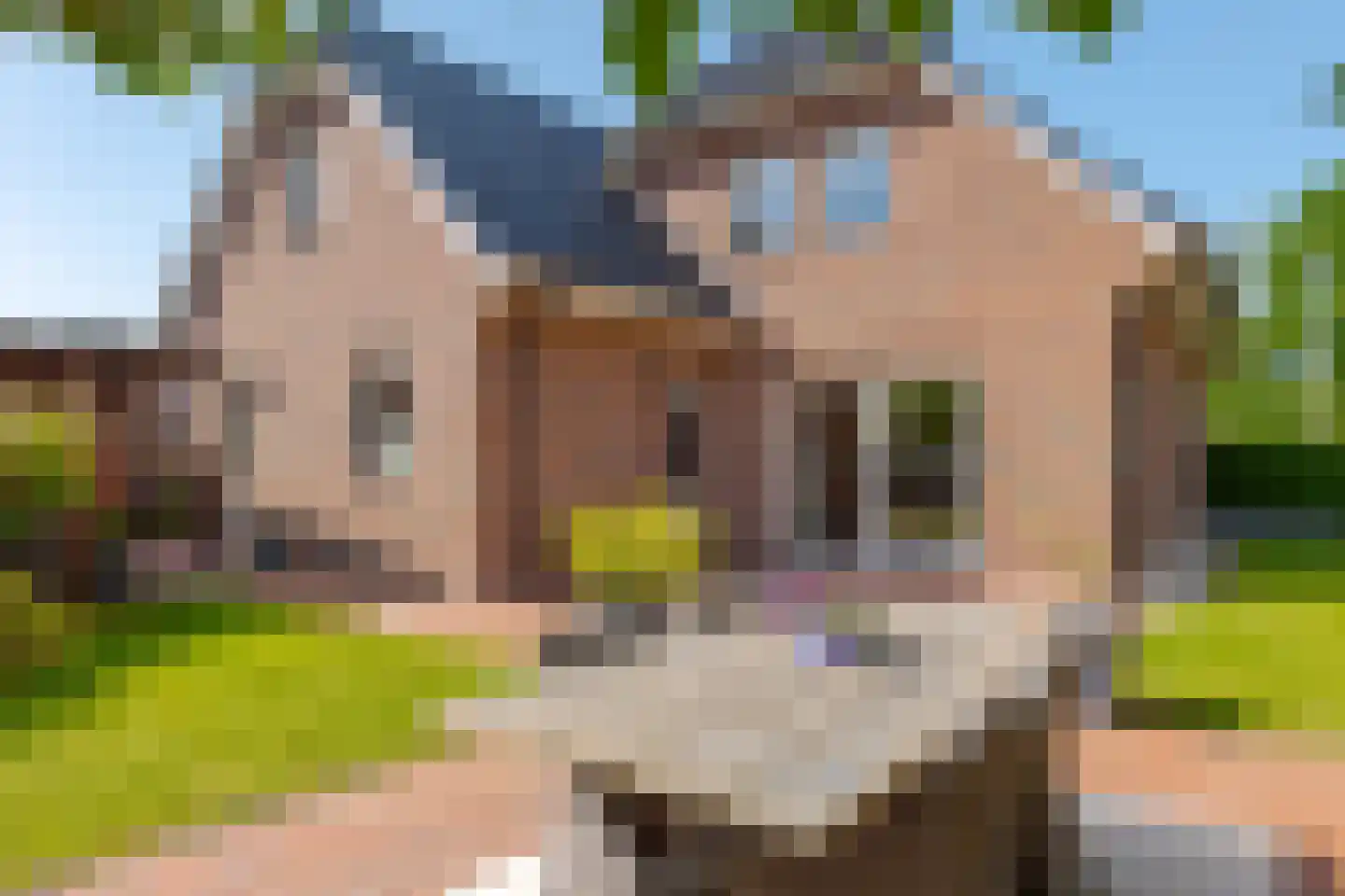 Brandparken 4 Leek thumbnail 35