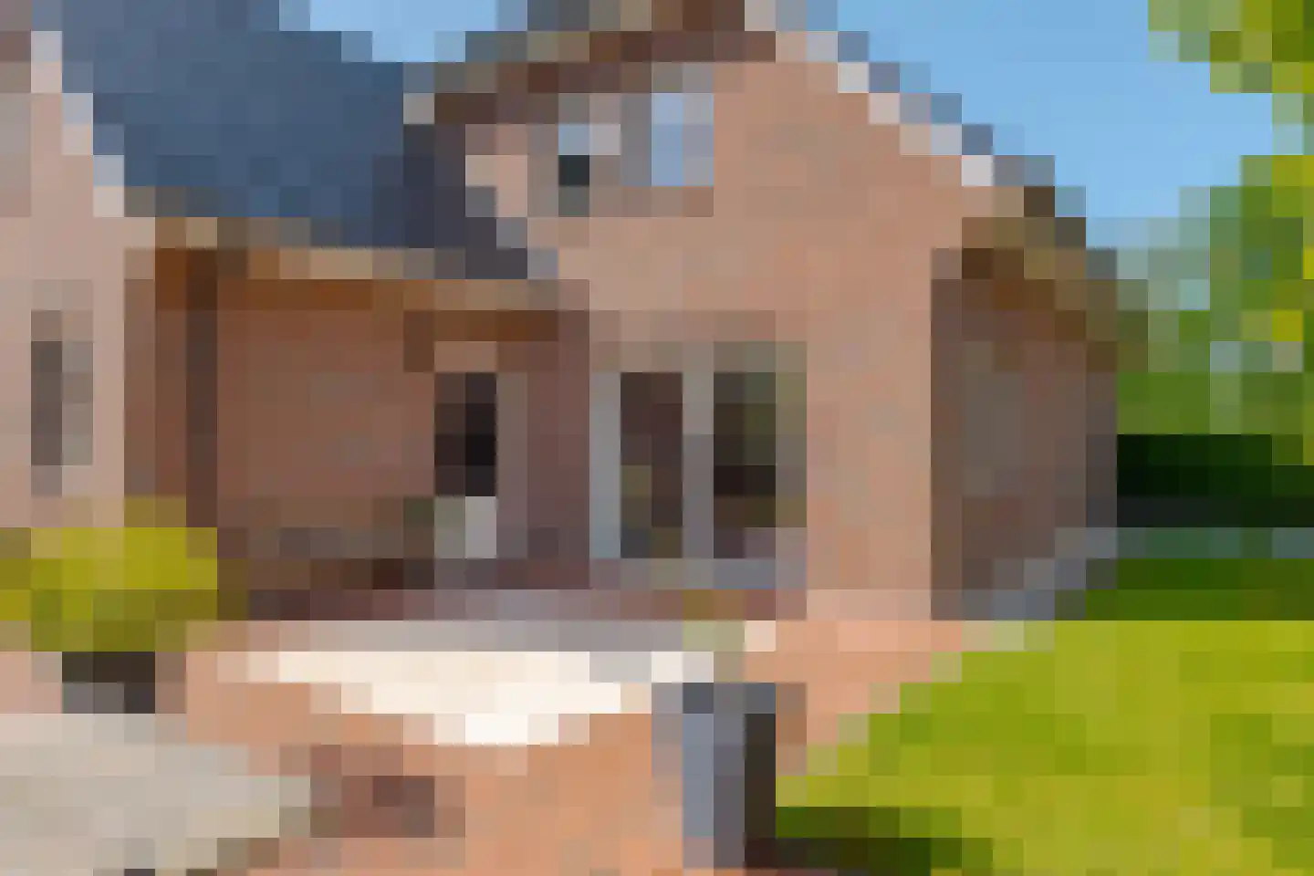 Brandparken 4 Leek thumbnail 36