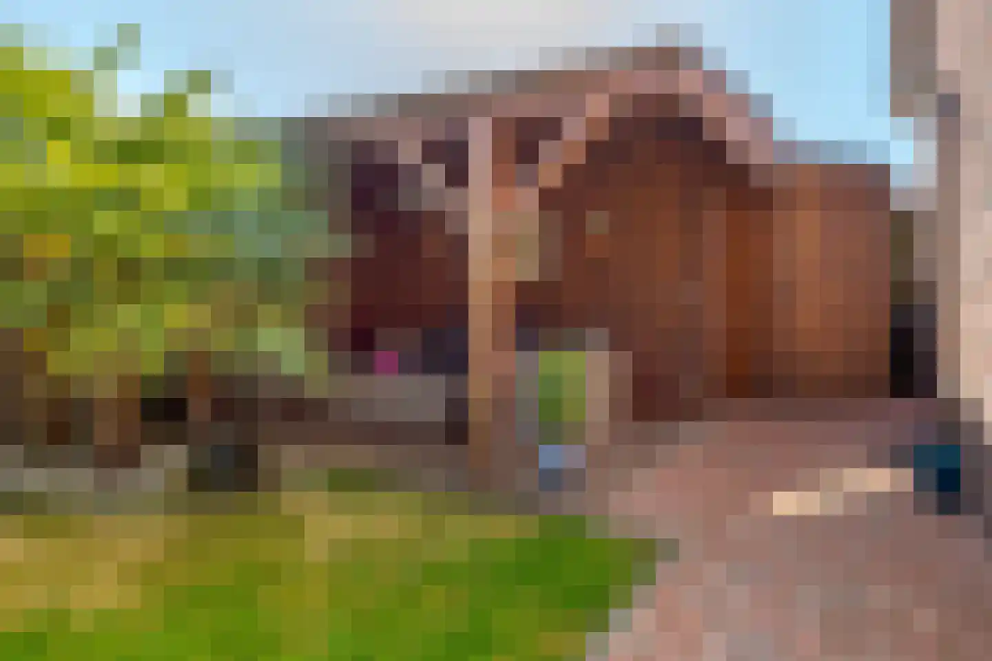 Brandparken 4 Leek thumbnail 42