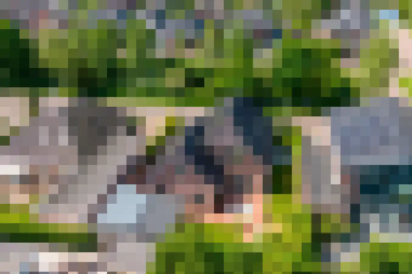 Brandparken 4 Leek thumbnail 46