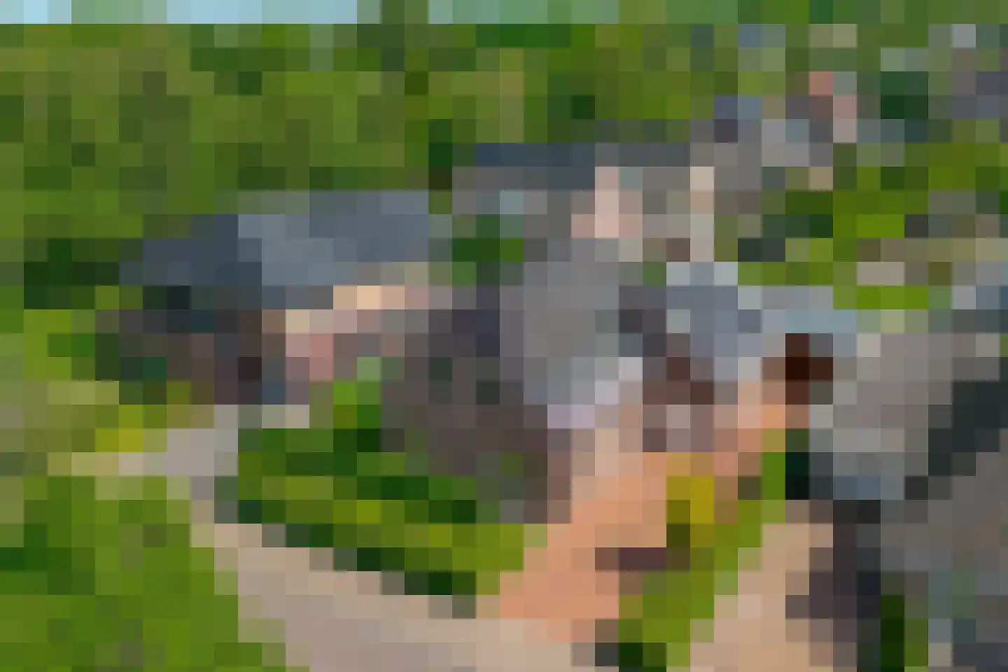 Brandparken 4 Leek thumbnail 67