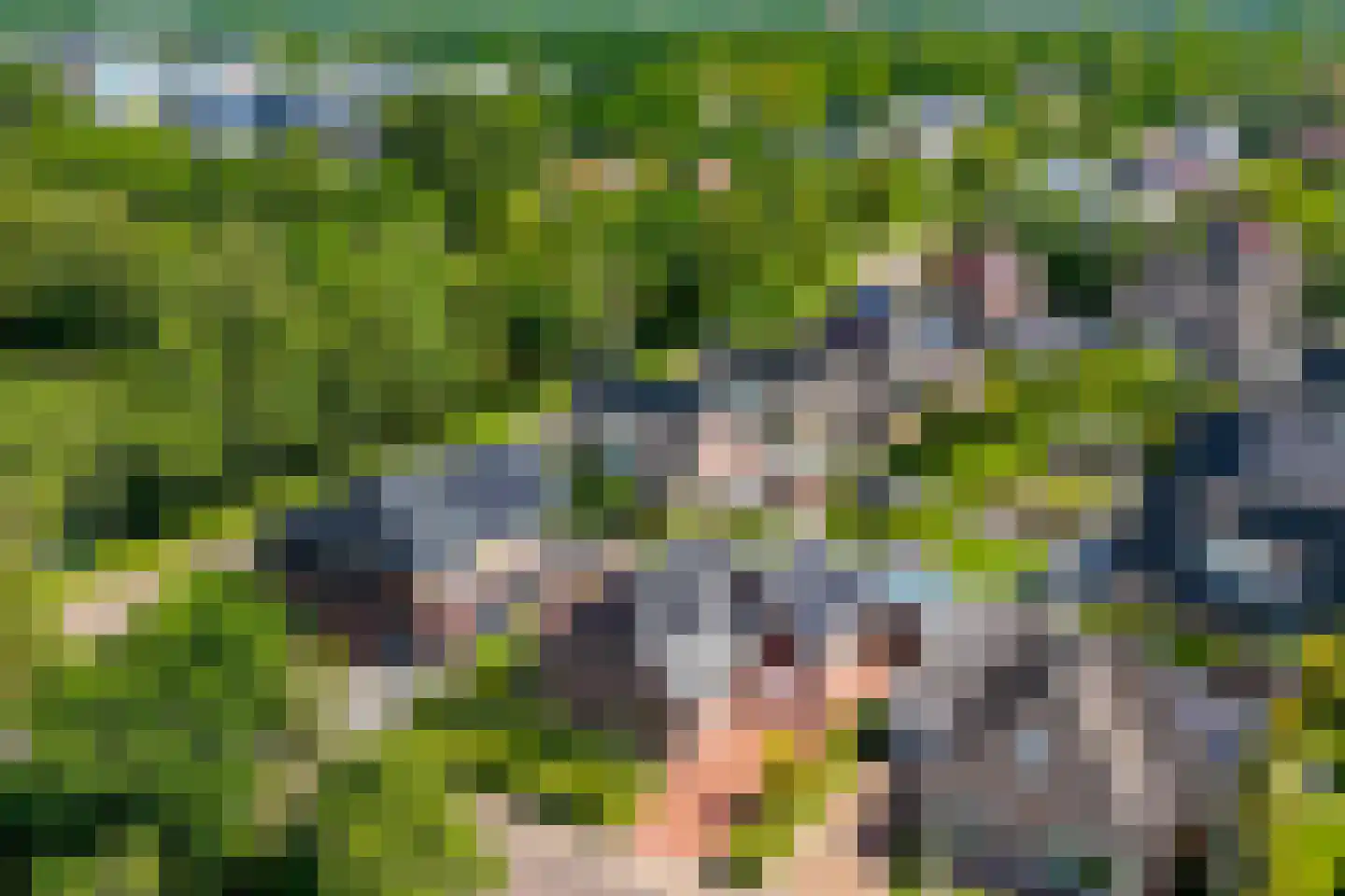 Brandparken 4 Leek thumbnail 7