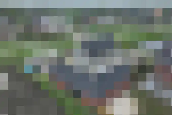 Brandparken 60 Leek thumbnail 10