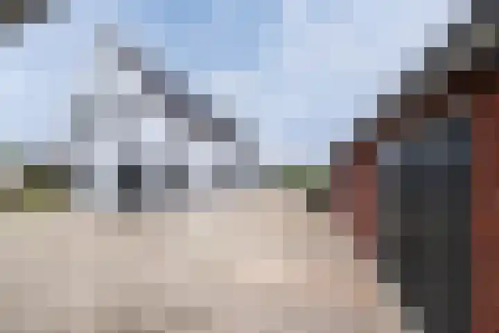Brandparken 60 Leek thumbnail 13