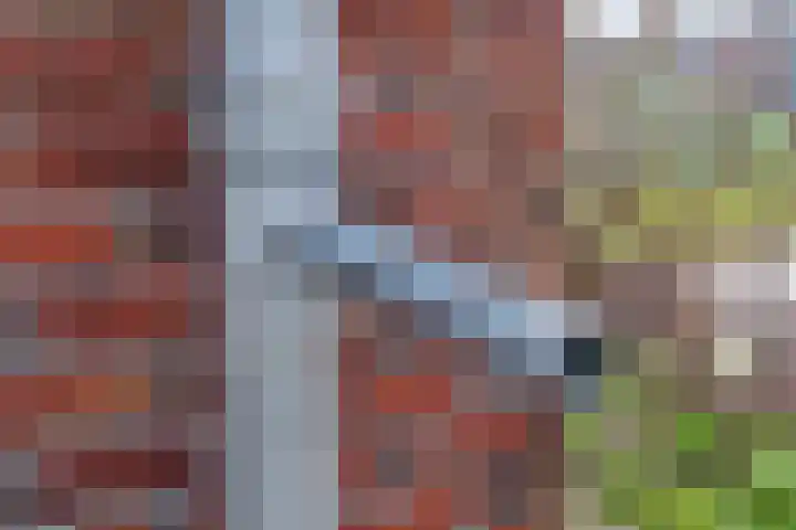 Brandparken 60 Leek thumbnail 16