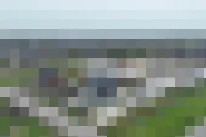 Brandparken 60 Leek thumbnail 6