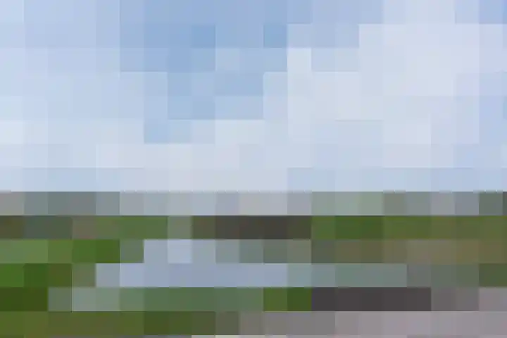 Brandparken 60 Leek thumbnail 61