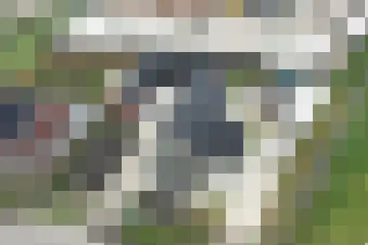 Brandparken 60 Leek thumbnail 7