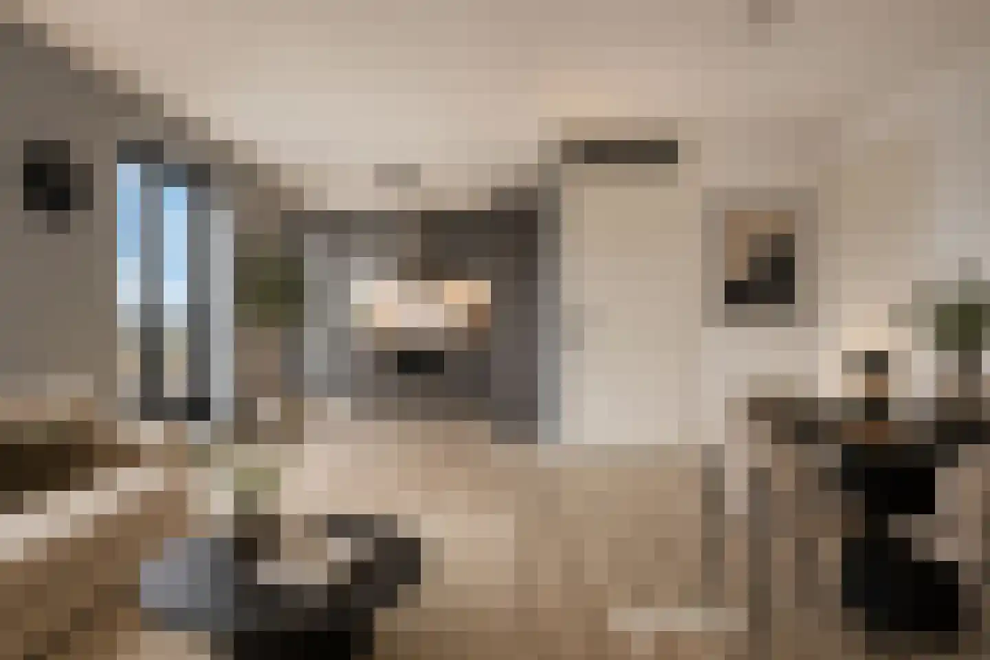 Brandpunt 130 Heerhugowaard thumbnail 6