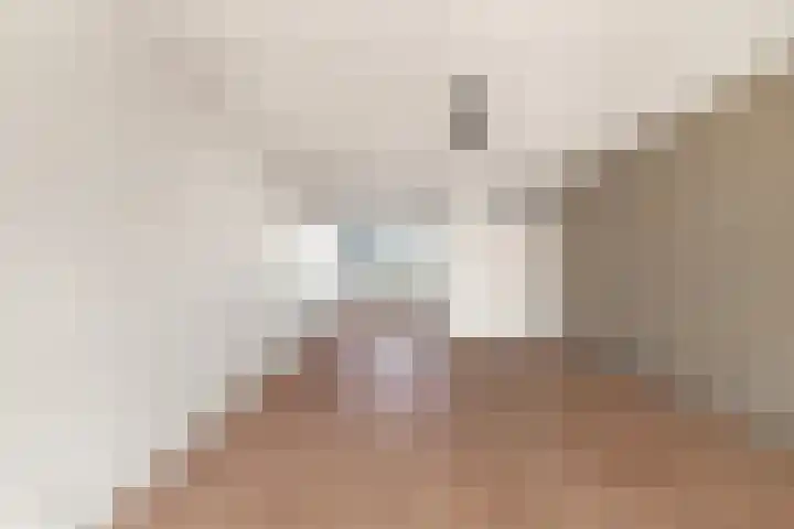 Brandpunt 79 Heerhugowaard thumbnail 6