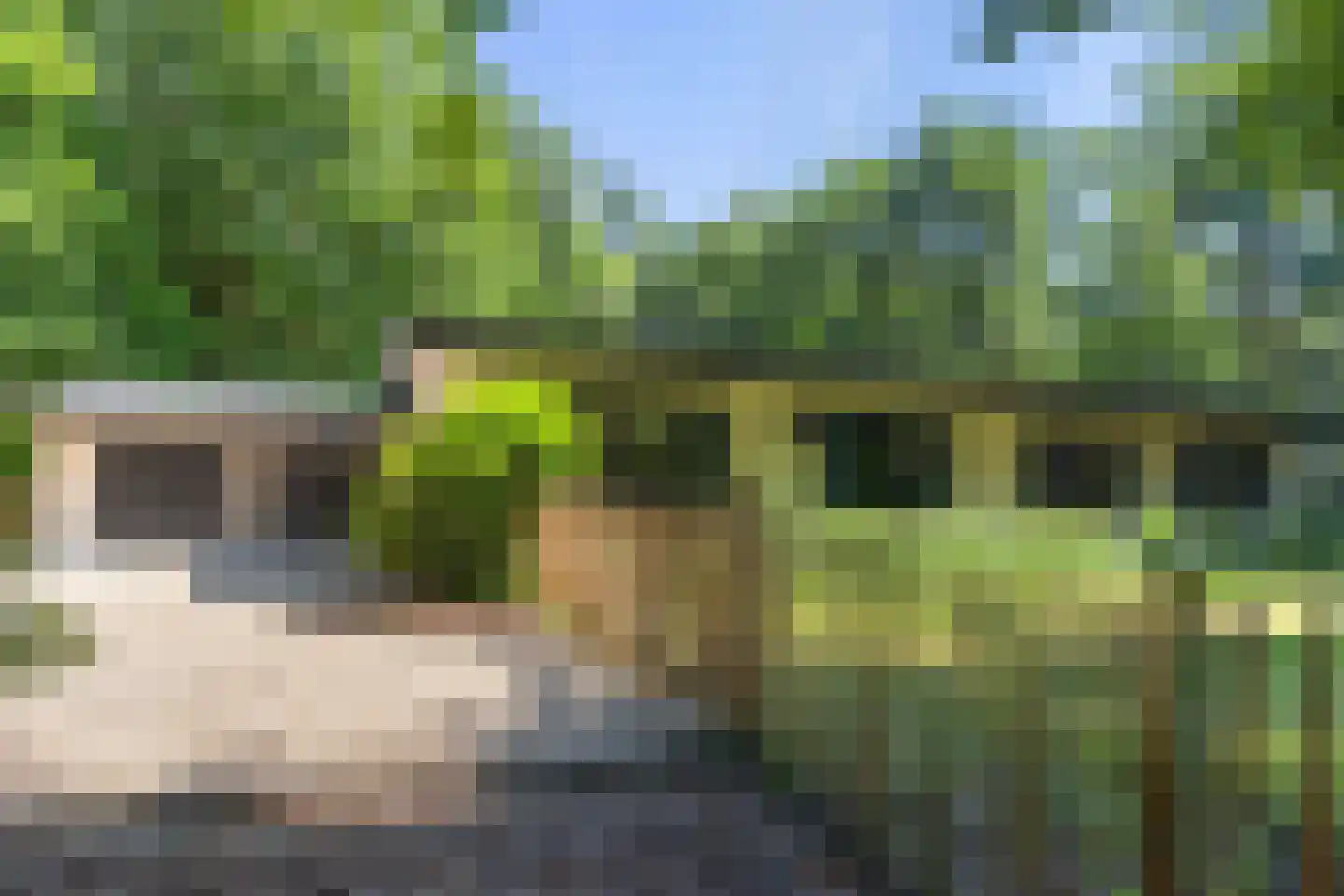 Brandrijsweg 2 Beekbergen thumbnail 34