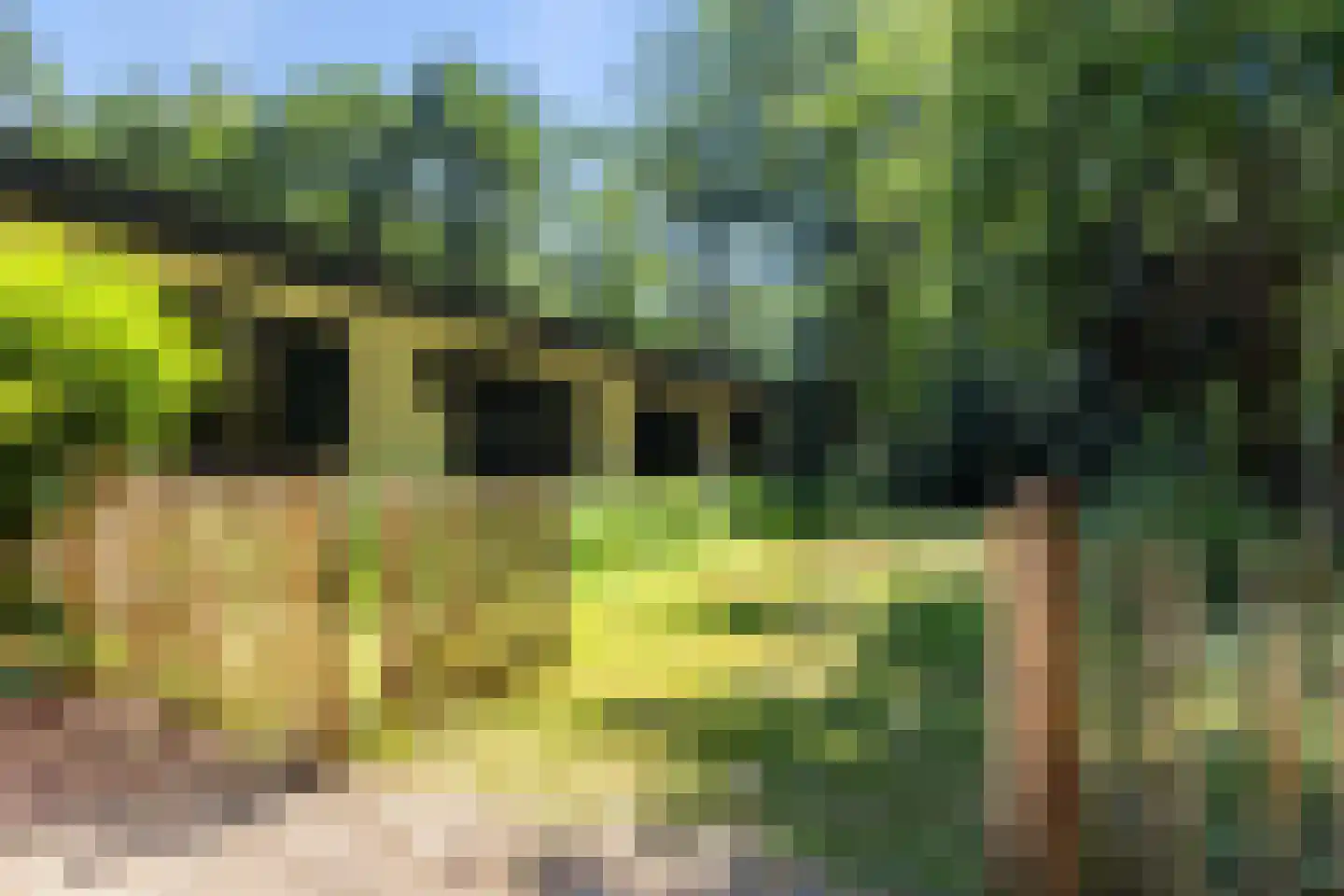 Brandrijsweg 2 Beekbergen thumbnail 35