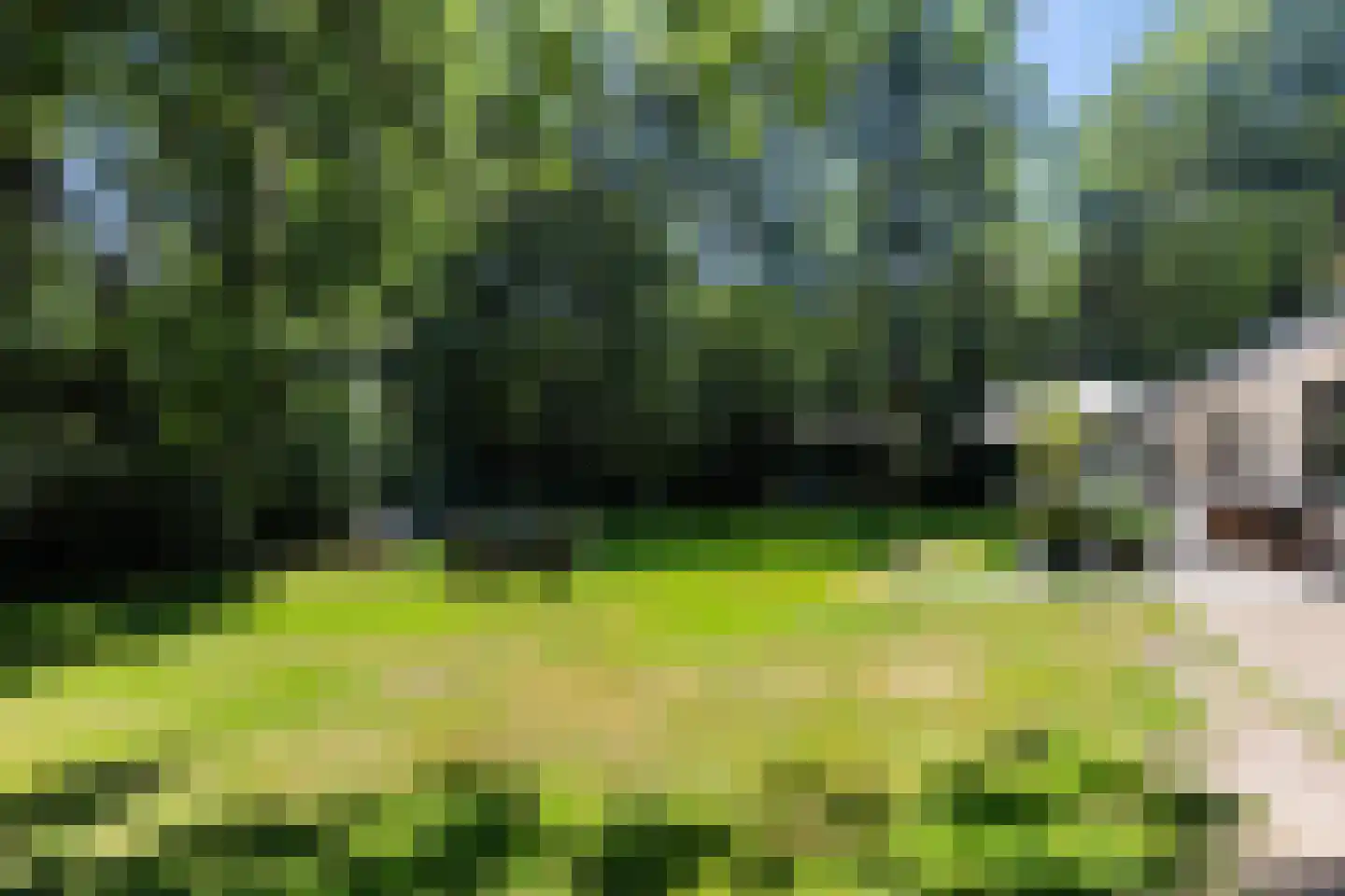 Brandrijsweg 2 Beekbergen thumbnail 38