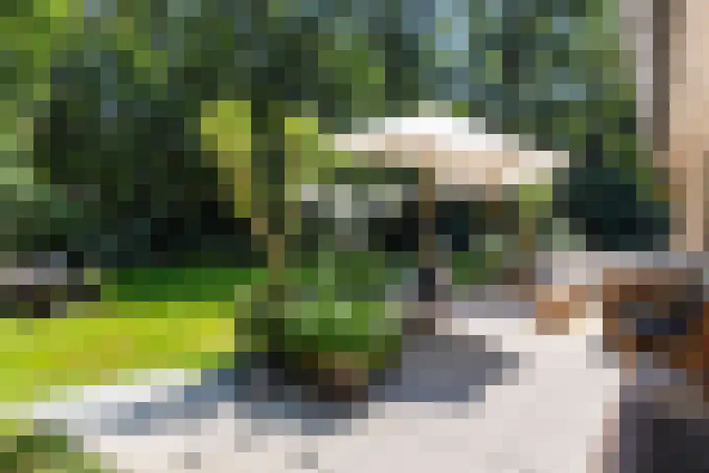 Brandrijsweg 2 Beekbergen thumbnail 39