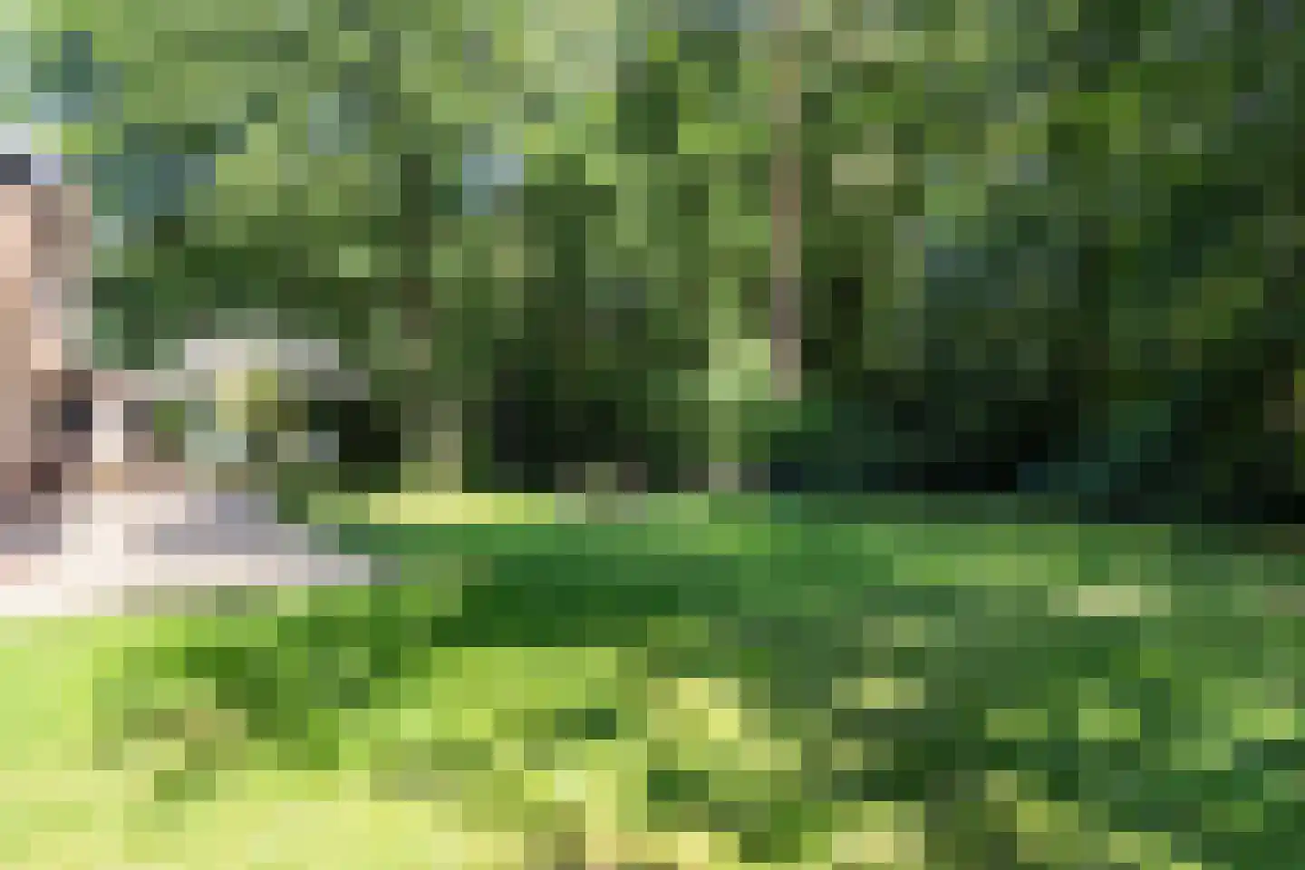 Brandrijsweg 2 Beekbergen thumbnail 40