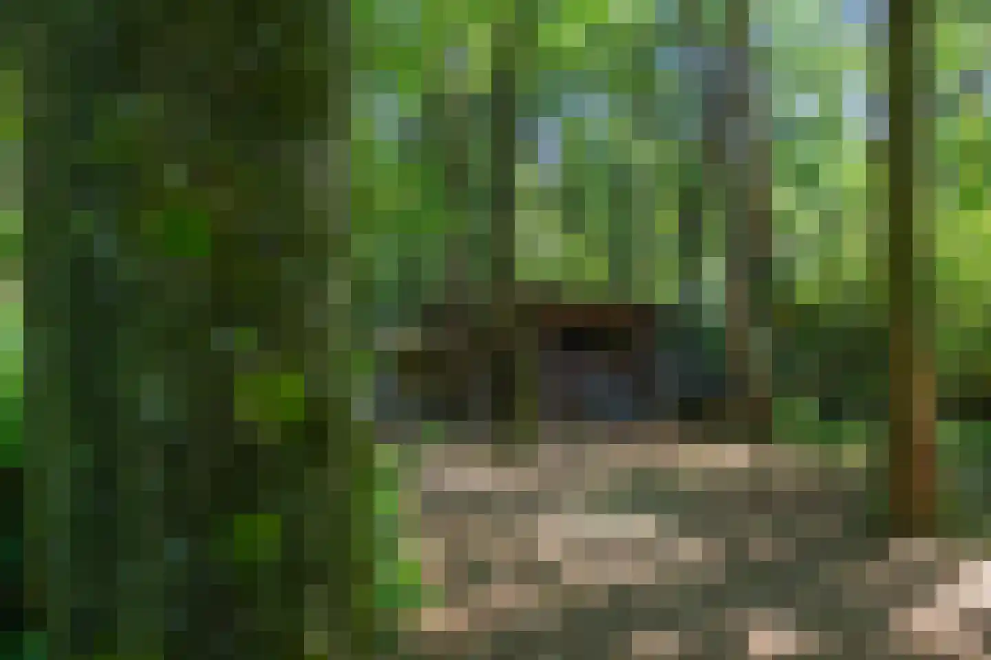 Brandrijsweg 2 Beekbergen thumbnail 44