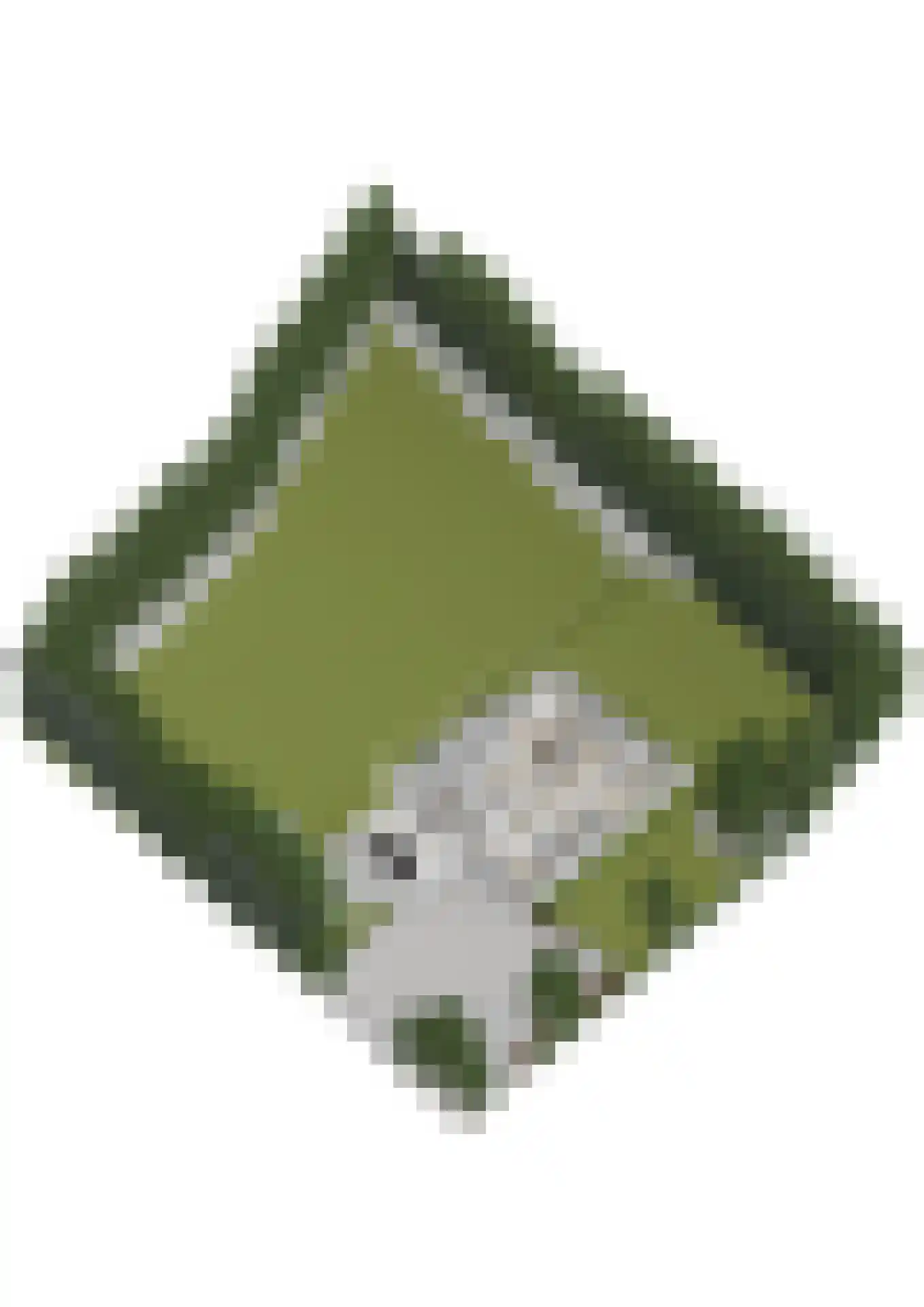 Brandrijsweg 2 Beekbergen thumbnail 55