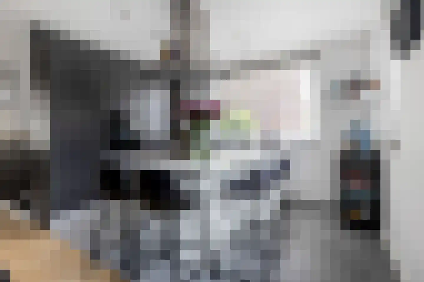 Brandrodehof 12 Teteringen thumbnail 17
