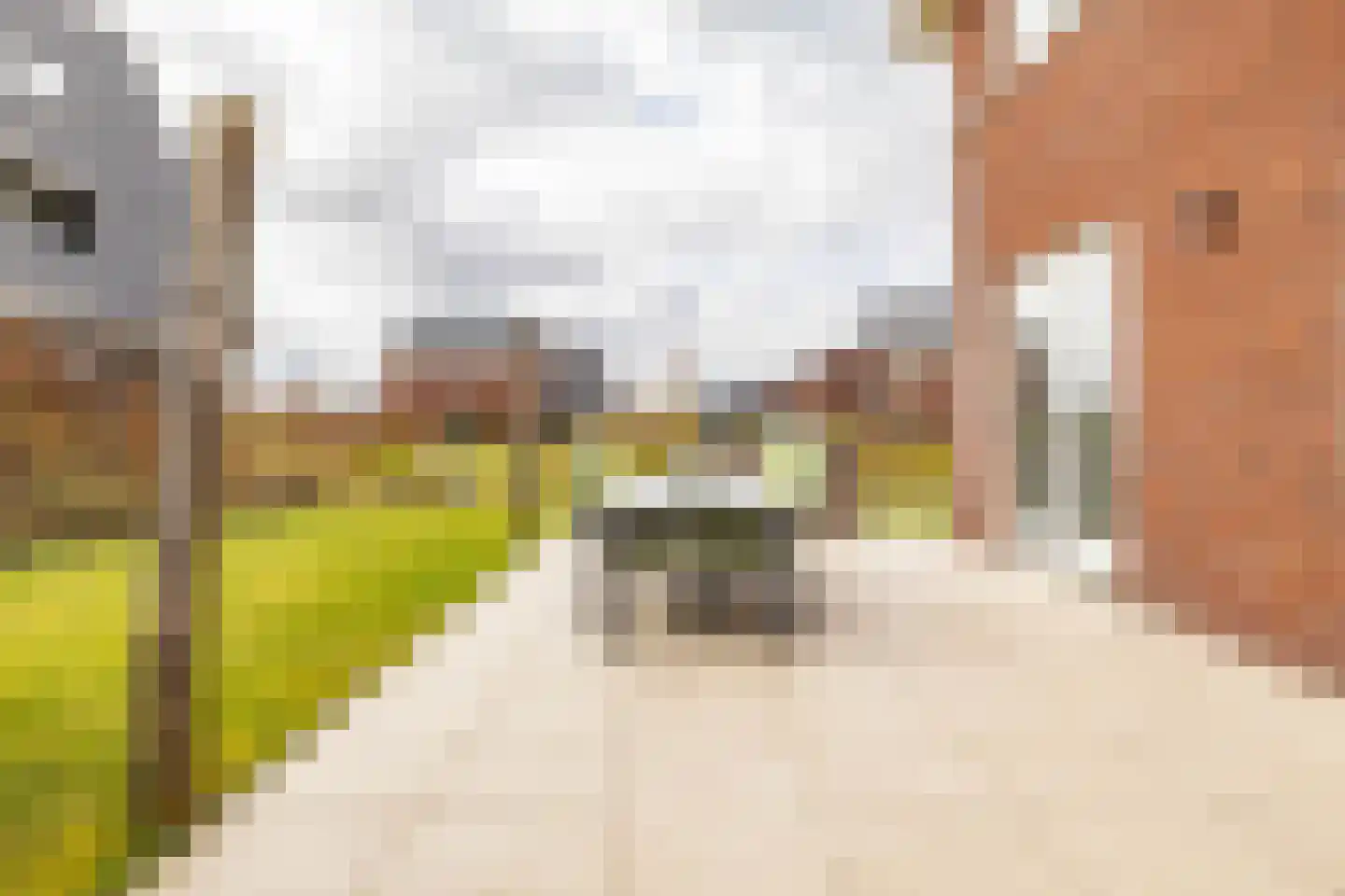 Brandrood 29 Meerstad thumbnail 33