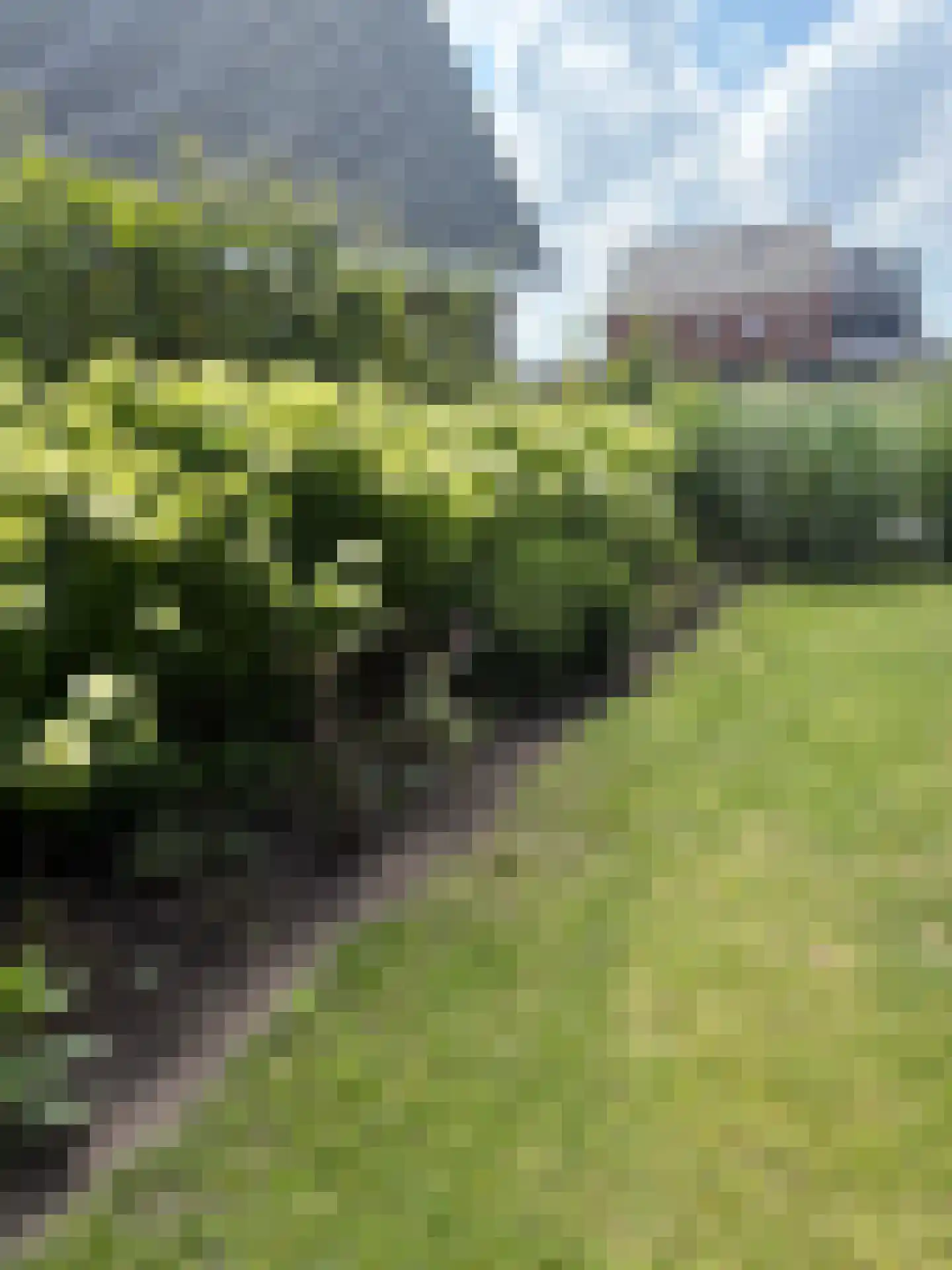 Brandrood 29 Meerstad thumbnail 36