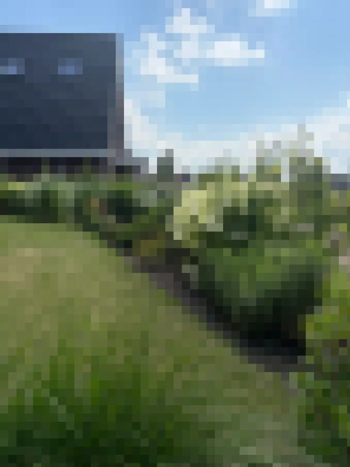 Brandrood 29 Meerstad thumbnail 37