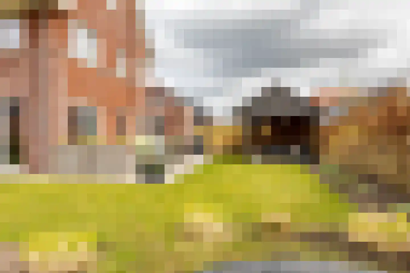 Brandrood 29 Meerstad thumbnail 39