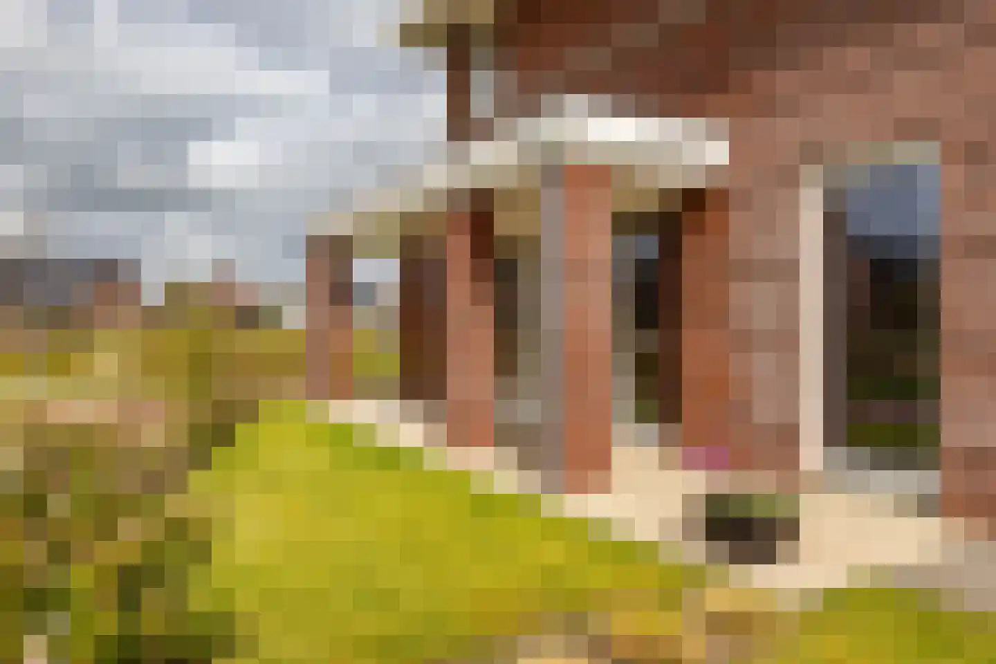 Brandrood 29 Meerstad thumbnail 41