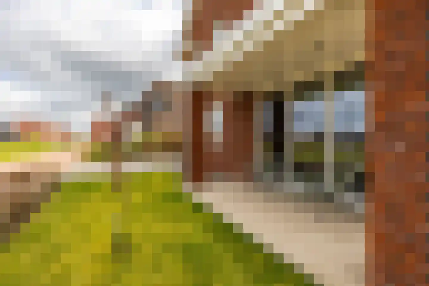 Brandrood 29 Meerstad thumbnail 42