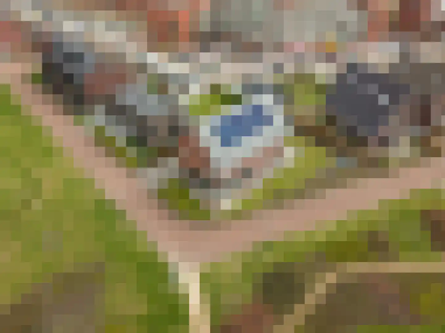 Brandrood 29 Meerstad thumbnail 8