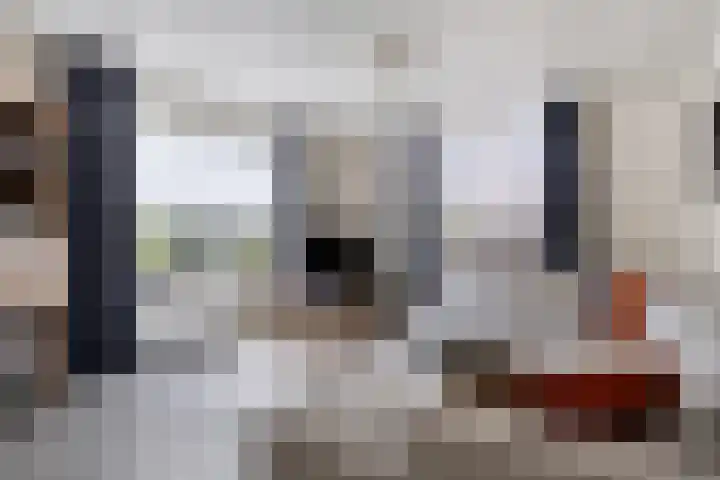Brandsestraat 3 Mill thumbnail 12