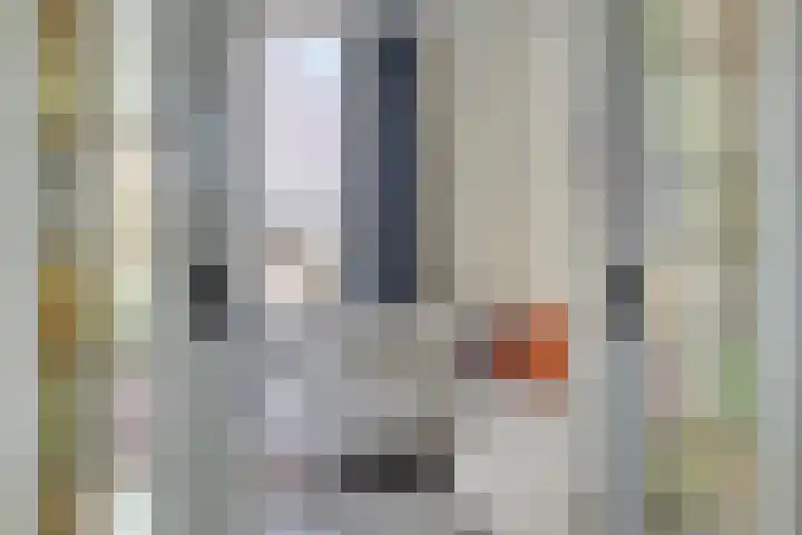 Brandsestraat 3 Mill thumbnail 14