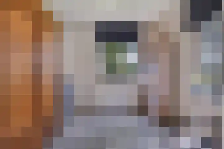 Brandsestraat 3 Mill thumbnail 15