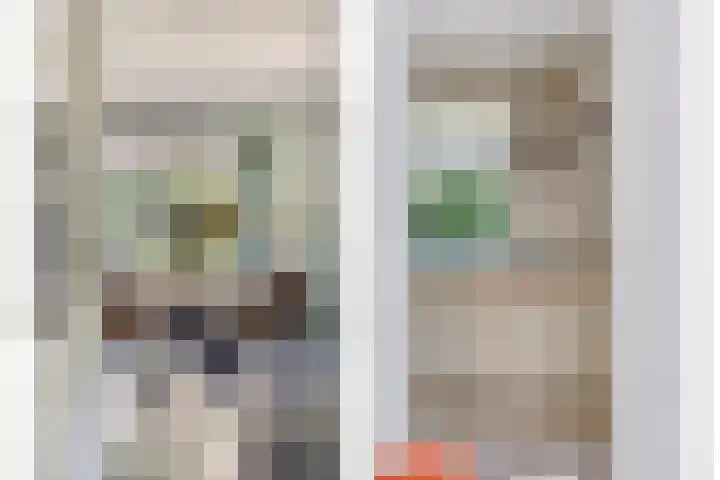 Brandsestraat 3 Mill thumbnail 18