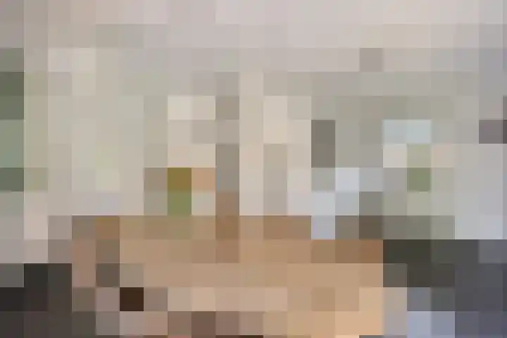 Brandsestraat 3 Mill thumbnail 19