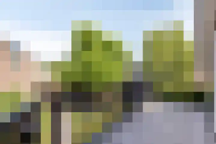 Brandsestraat 3 Mill thumbnail 28