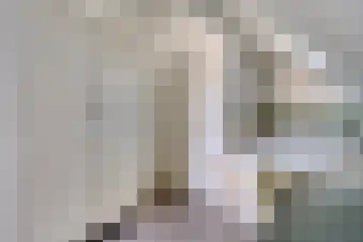 Brandsestraat 3 Mill thumbnail 33