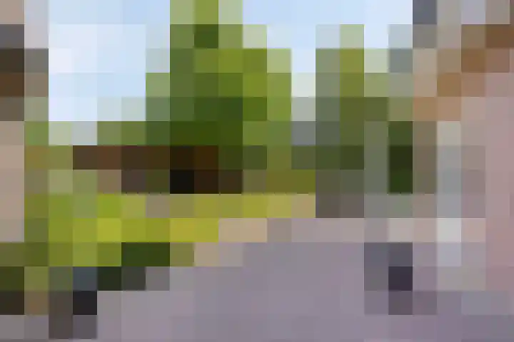 Brandsestraat 3 Mill thumbnail 37