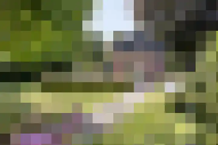 Brandsestraat 3 Mill thumbnail 38