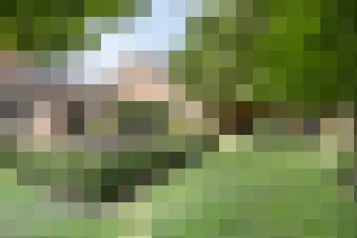 Brandsestraat 3 Mill thumbnail 39