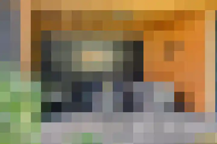Brandsestraat 3 Mill thumbnail 40