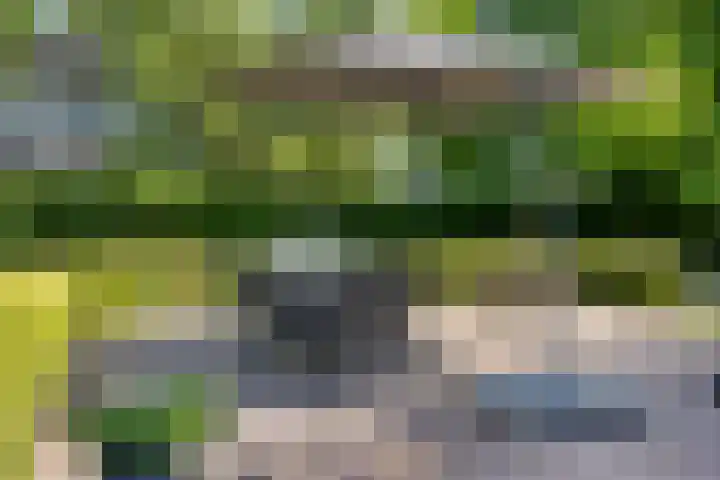 Brandsestraat 3 Mill thumbnail 41