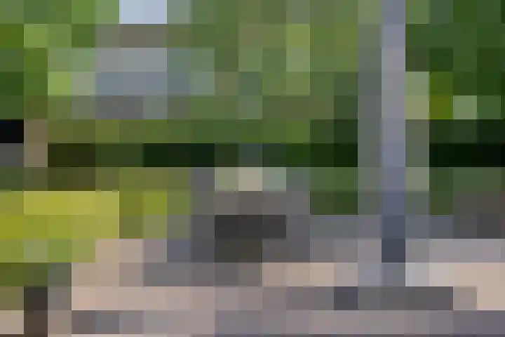 Brandsestraat 3 Mill thumbnail 42