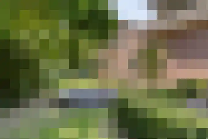 Brandsestraat 3 Mill thumbnail 43