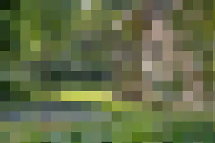 Brandsestraat 3 Mill thumbnail 44