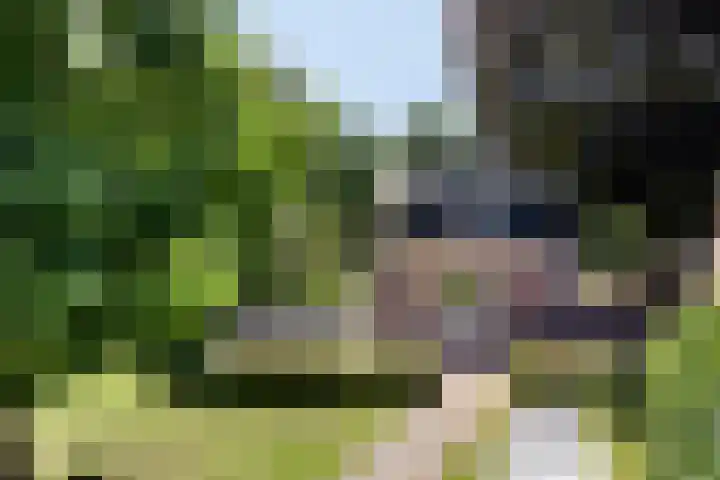 Brandsestraat 3 Mill thumbnail 47