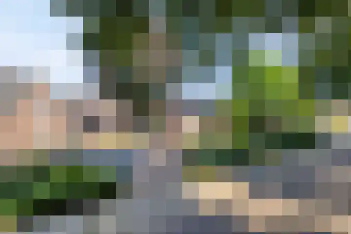 Brandsestraat 3 Mill thumbnail 48