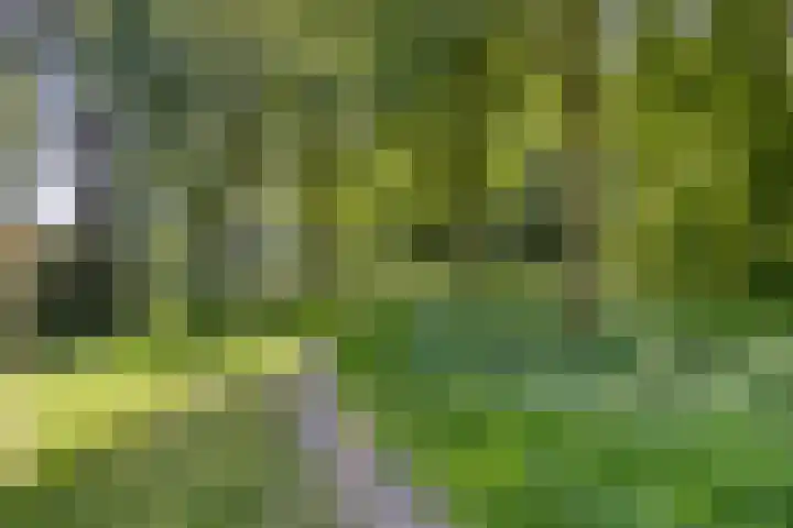 Brandsestraat 3 Mill thumbnail 50