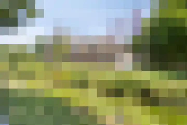 Brandsestraat 3 Mill thumbnail 51
