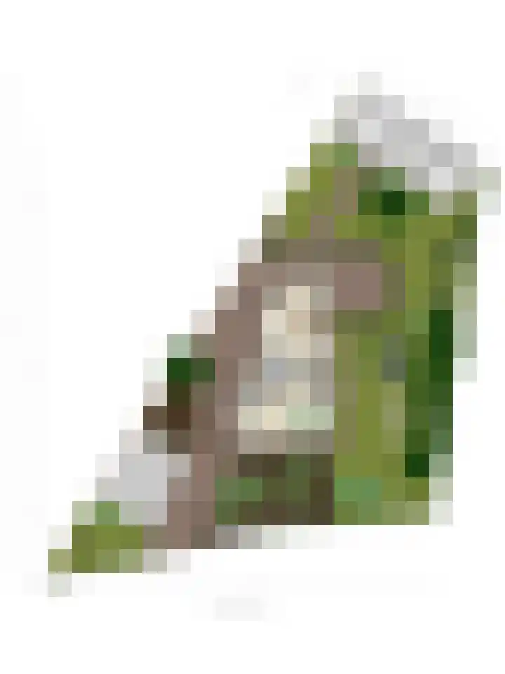 Brandsestraat 3 Mill thumbnail 56