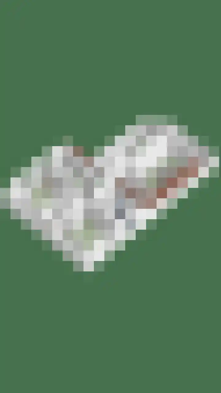 Brandsestraat 3 Mill thumbnail 58